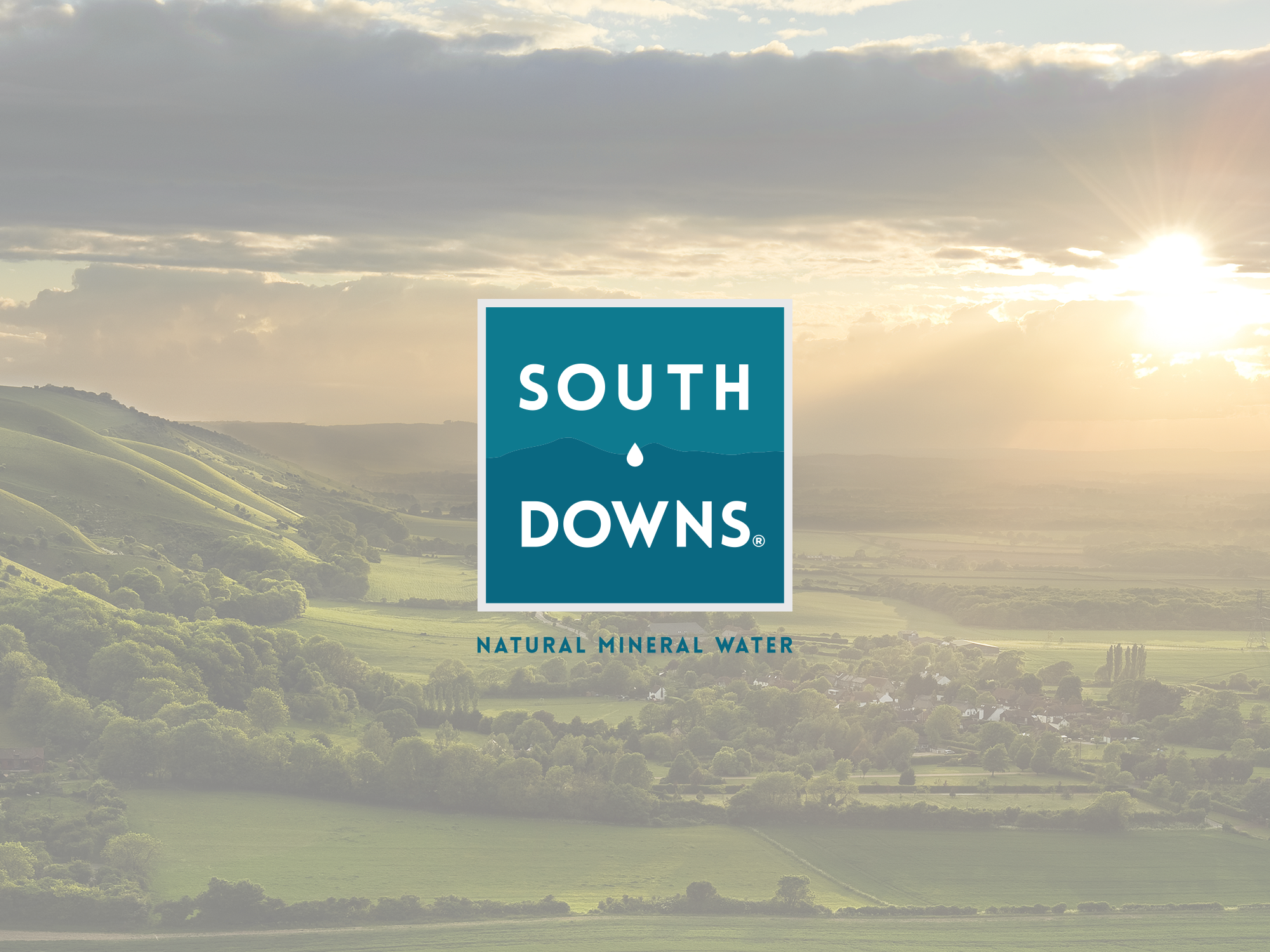 South Downs Water 2021 Review | South Downs Water